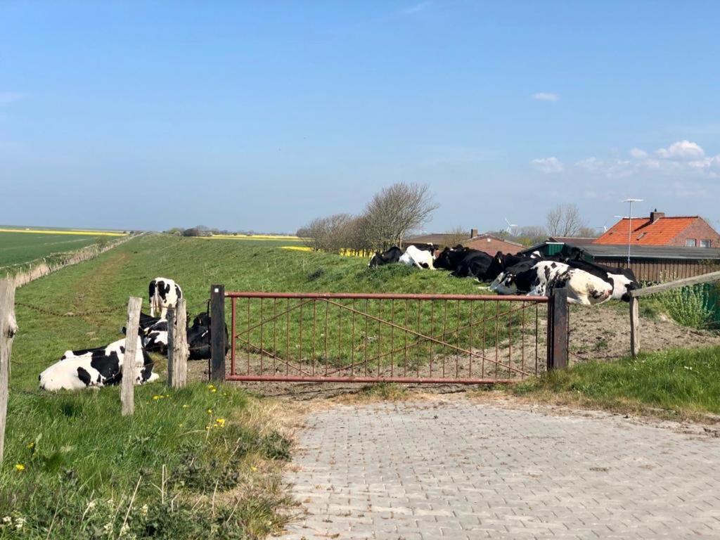 Nummer 5